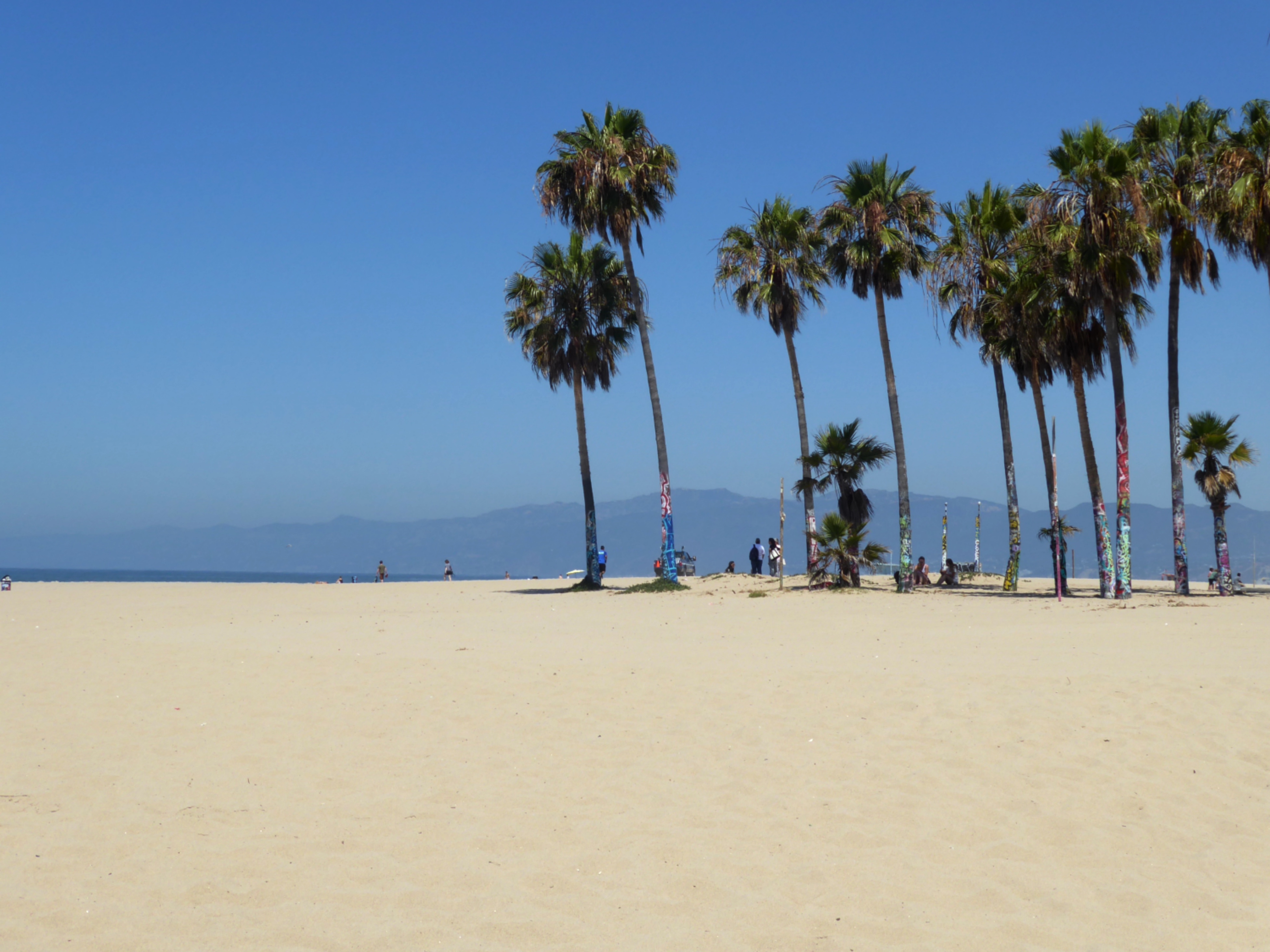 Palmės, vandenynas ir smėlis. Oceano – Long Beach