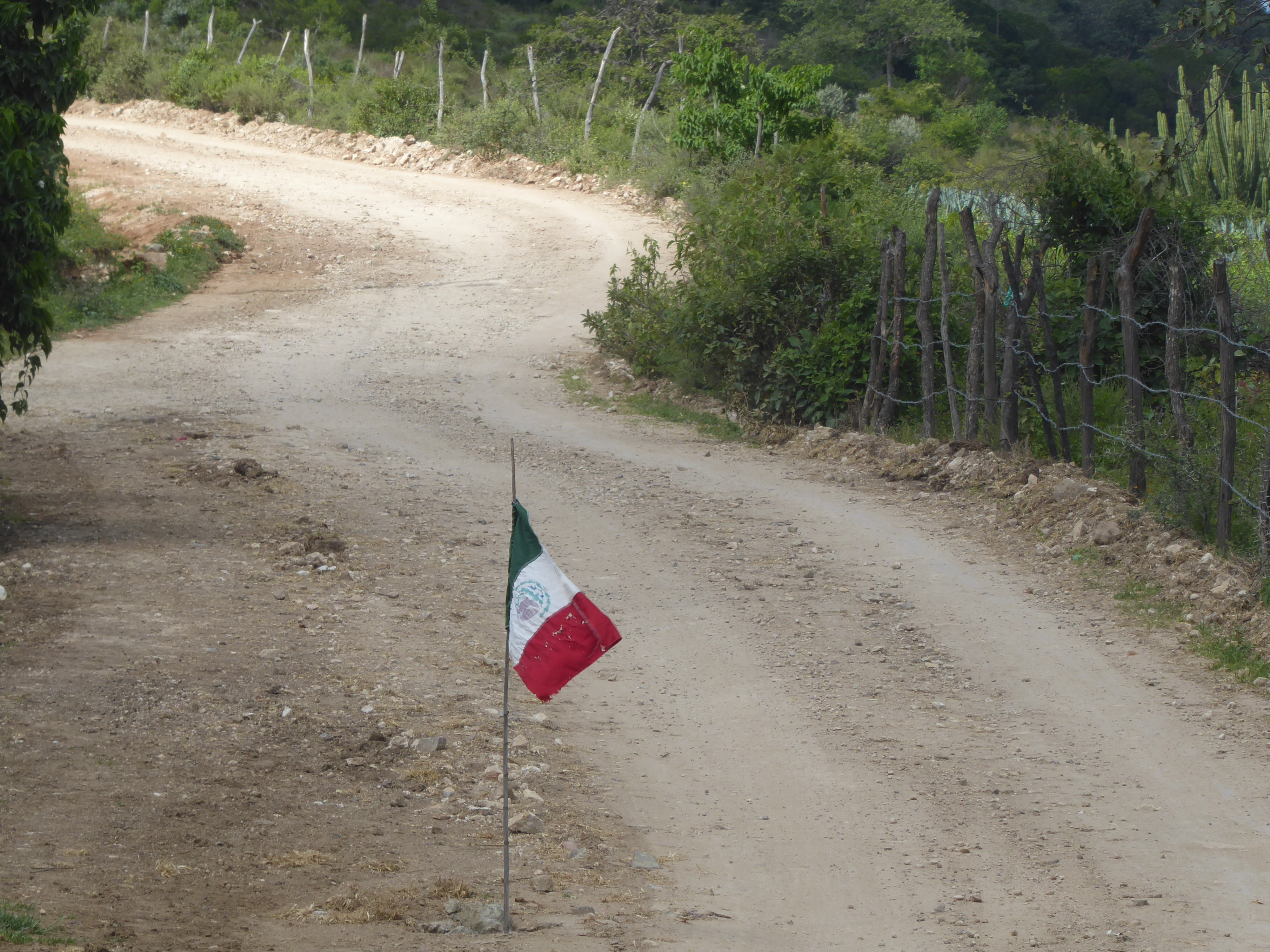 Kas Meksikoje kitaip? Mintys paliekant šalį